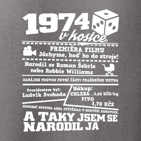 1974 v kostce