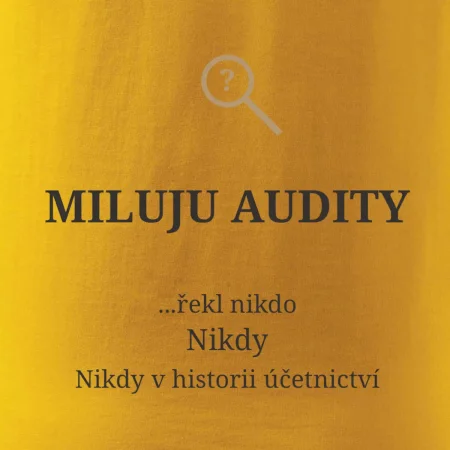 Miluju audity řekl nikdo nikdy