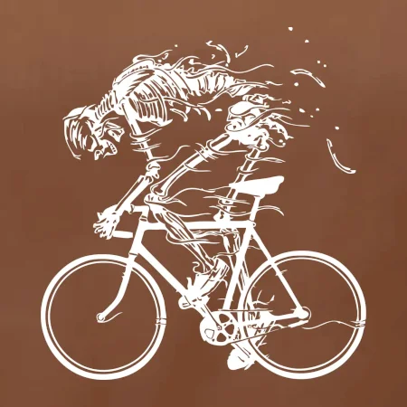 Cyklo kostra