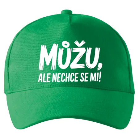 Můžu, ale nechce se mi