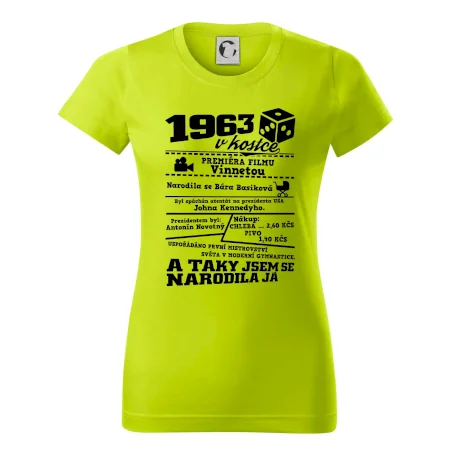 1963 v kostce