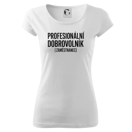 PROFESIONÁLNÍ DOBROVOLNÍK (zaměstnanec)