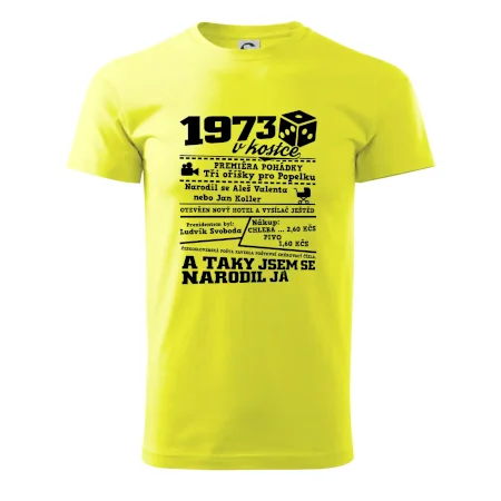 1973 v kostce