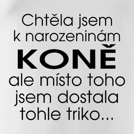 Chtěla jsem dostat k narozeninám koně