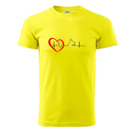 Německý ovčák ekg