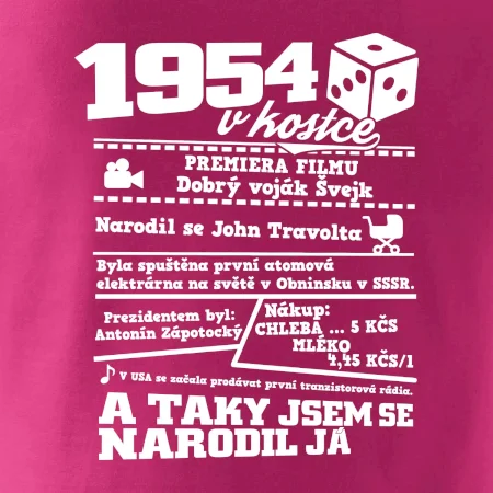 1954 v kostce