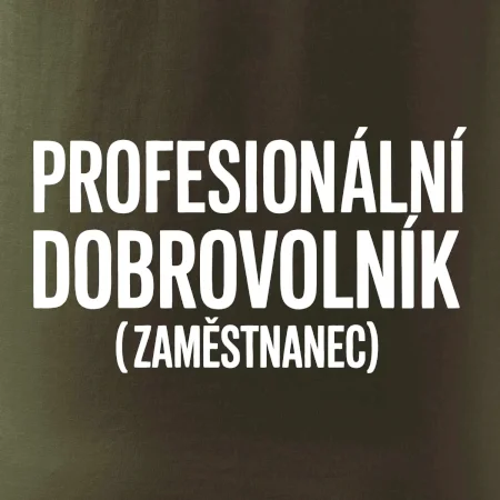 PROFESIONÁLNÍ DOBROVOLNÍK (zaměstnanec)