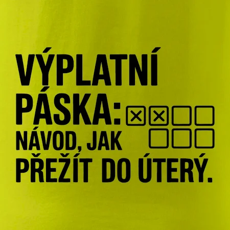 VÝPLATNÍ PÁSKA: Návod, jak přežít do úterý