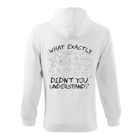 What exactly didnt you understand - physics