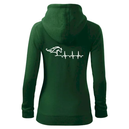 Hlava koně EKG