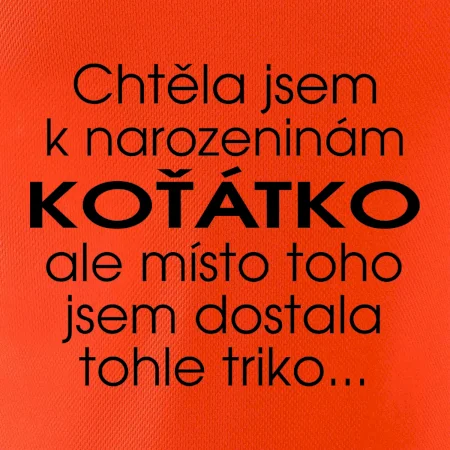 Chtěla jsem dostat k narozeninám koťátko