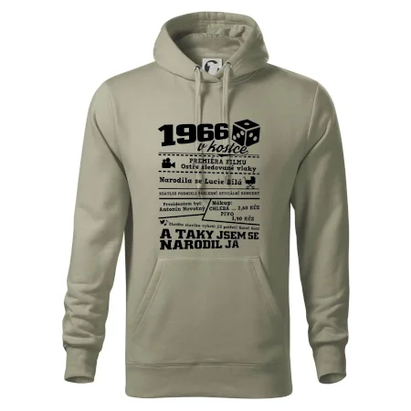 1966 v kostce
