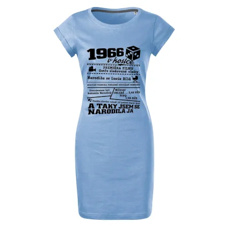 1966 v kostce