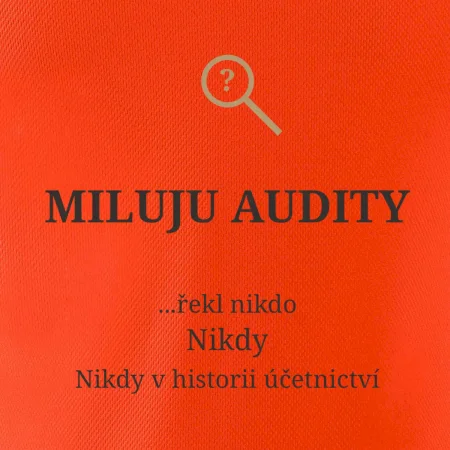 Miluju audity řekl nikdo nikdy