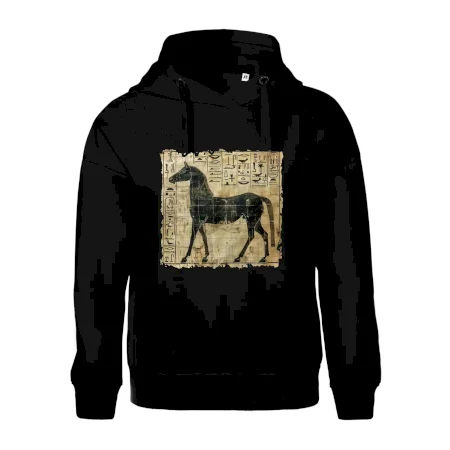 Egyptské hieroglyfy kůň