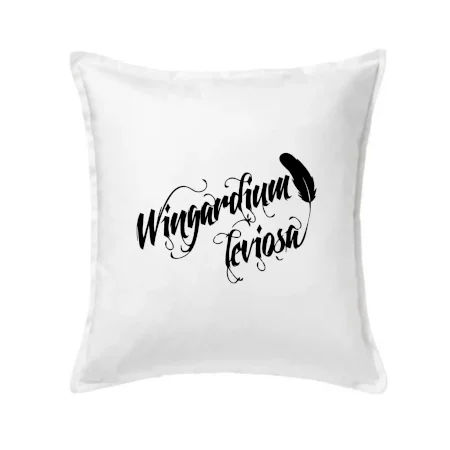 Harry - Wingardium Leviosa