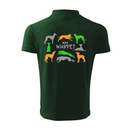 Whippet barevný