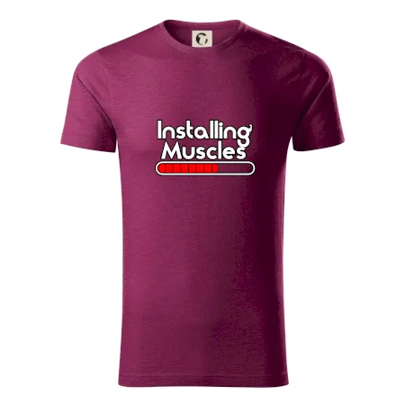 Installing Muscles