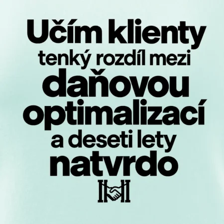Daňová optimalizace versus deset let natvrdo