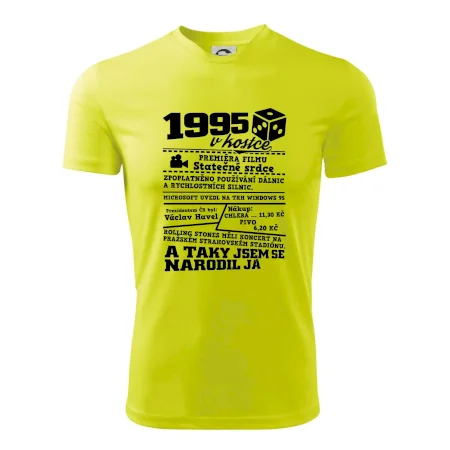 1995 v kostce