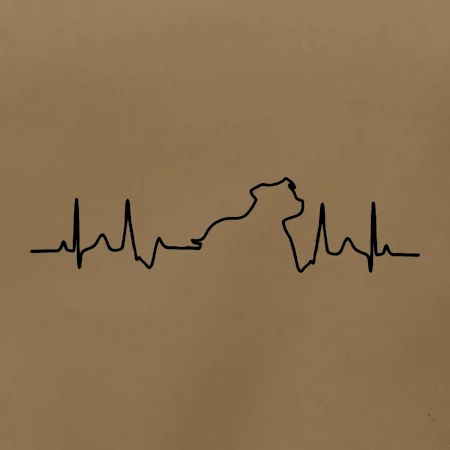 Stafordšírsky bulteriér EKG