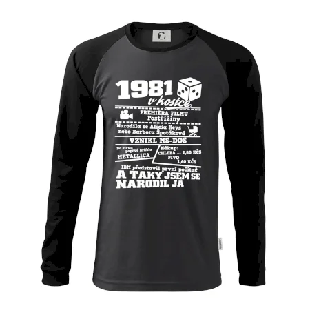 1981 v kostce