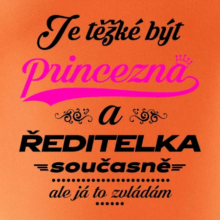Je těžké být princezna - ředitelka