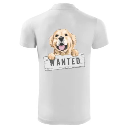 Zlatý retriever - štěně wanted