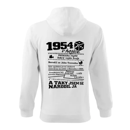 1954 v kostce