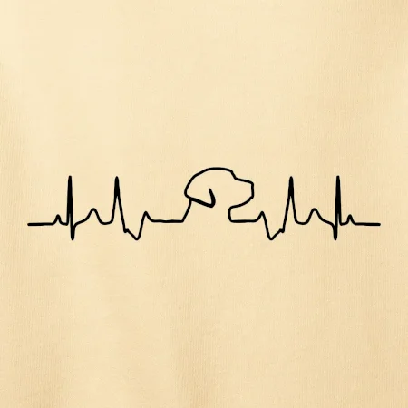 Labrador EKG