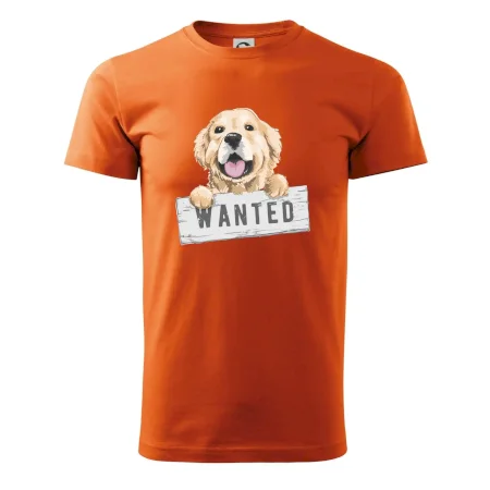 Zlatý retriever - štěně wanted
