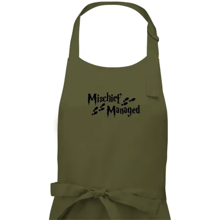 Harry - Mischief Managed