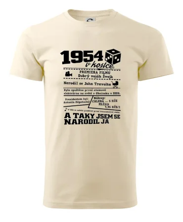 1954 v kostce