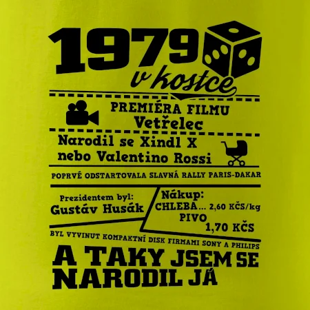 1979 v kostce