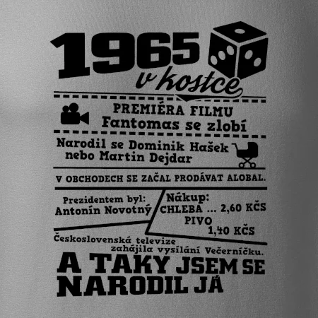 1965 v kostce