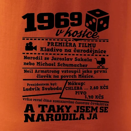 1969 v kostce