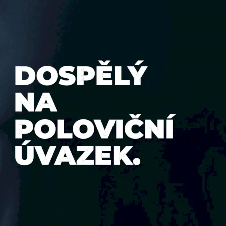 DOSPĚLÝ NA POLOVIČNÍ ÚVAZEK.