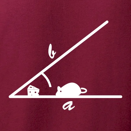 Matematická myš