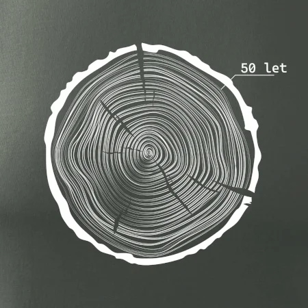 Letokruhy - 50