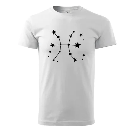 Souhvězdí - Pisces - Ryby