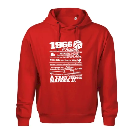 1966 v kostce