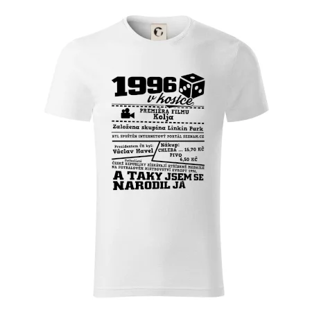 1996 v kostce