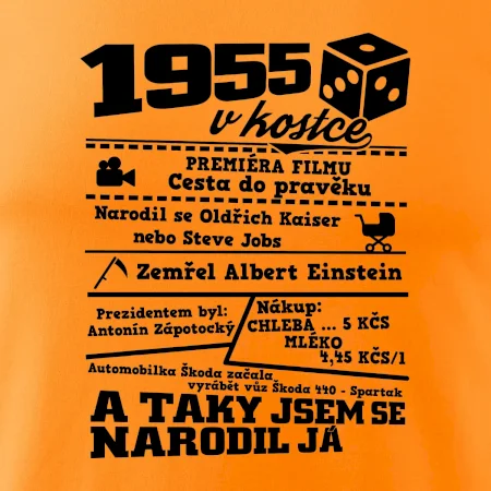1955 v kostce