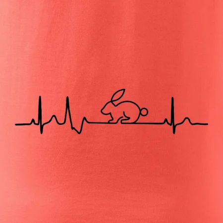 EKG králík