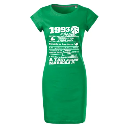1993 v kostce
