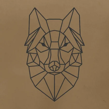 Geometrie - vlk