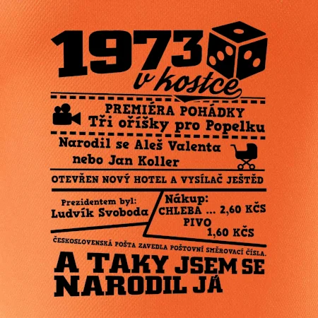 1973 v kostce