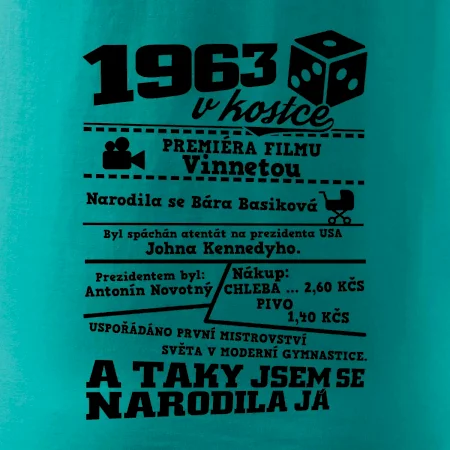 1963 v kostce