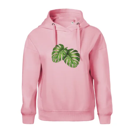 Monstera - dva listy