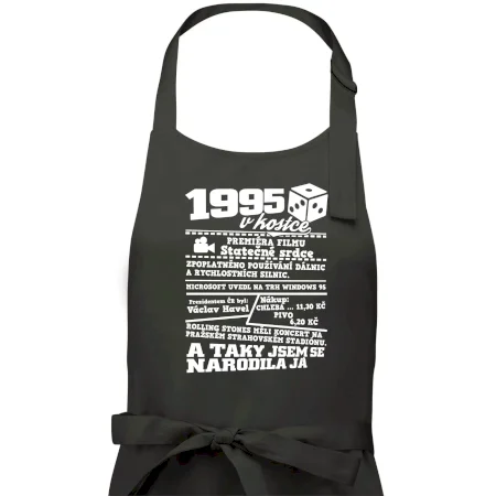 1995 v kostce